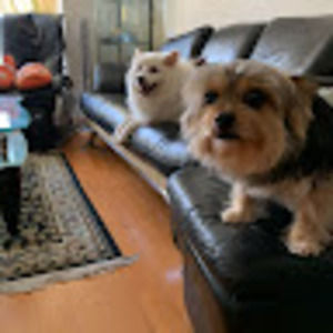 Meet your Posher, Jerry